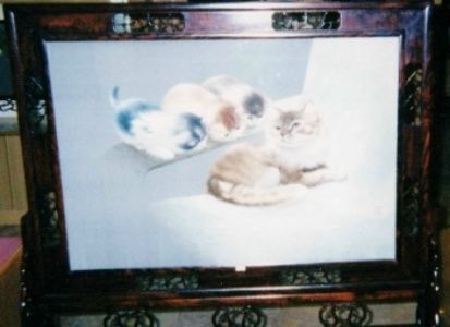 中国蘇州の両面刺繍の猫 | ひまひまねこさんのきまぐれさらだ