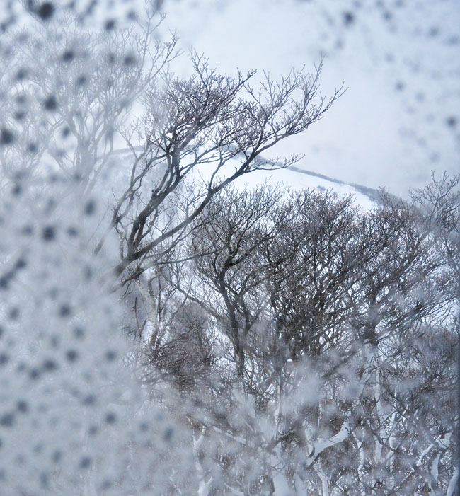 雪２