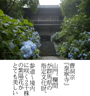 泰寧寺.jpg