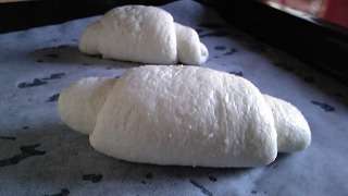 お米パン２時発酵後