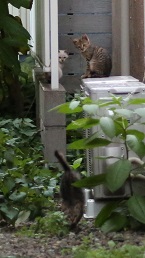 5DA_0816-22.jpg