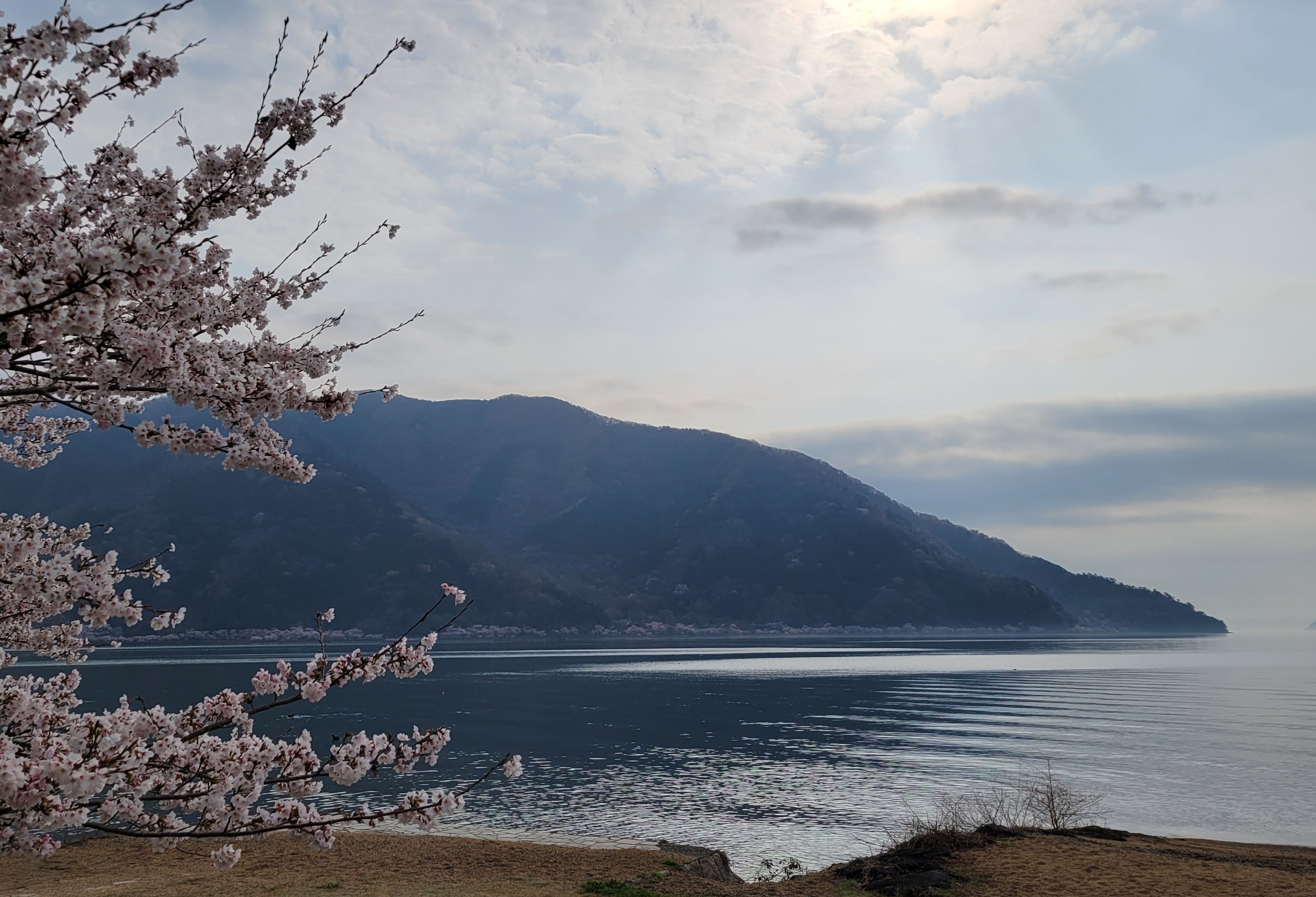 徒歩でビワイチ リターンズ(8) 高島 マキノ～高島 近江今津 | 徒歩で