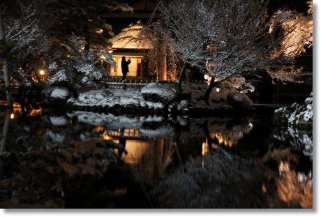 兼六園ライトアップ・冬の段-3 14.2.4