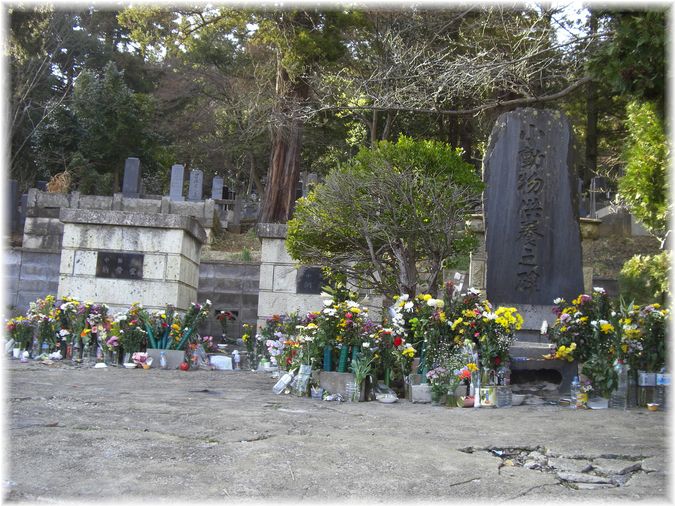 市のペット共同墓地