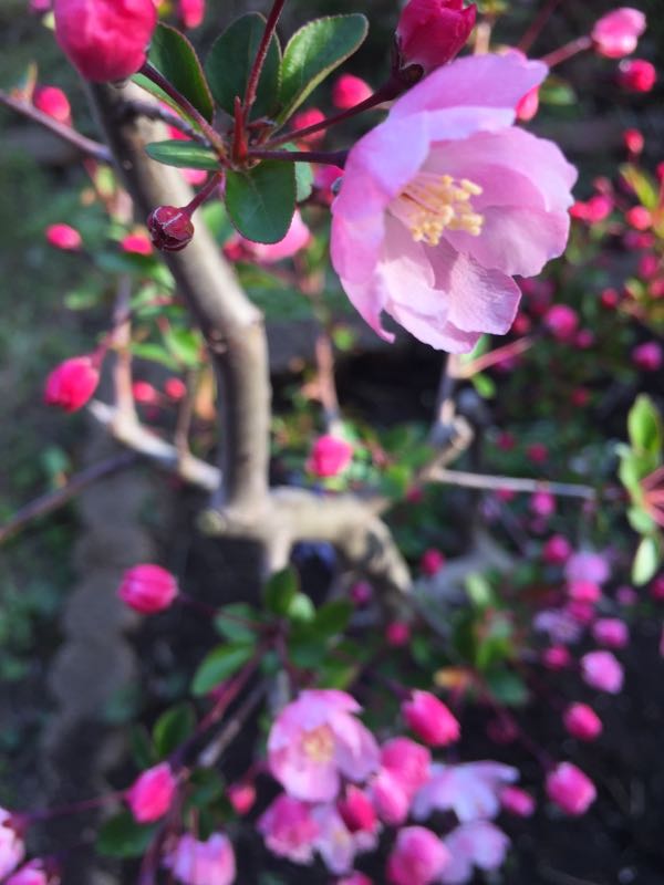 rblog-20180331171237-01.jpg
