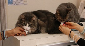 IMG_7099-20.jpg