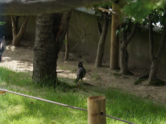 DSC00793.JPG