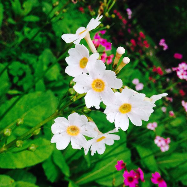 rblog-20140626122119-01.jpg