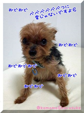 IMG_20130706_035427.jpg