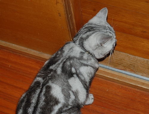 DSC_0035.JPG