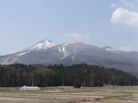 DSC02711.JPG