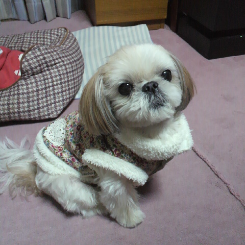 2014111117410000.jpg