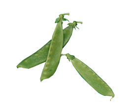 pea_image-thumb-268x224-645.gif