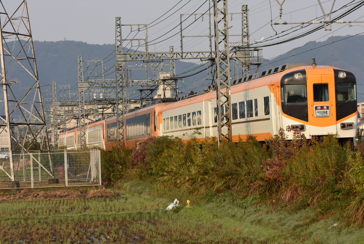 DSC_8062.JPG