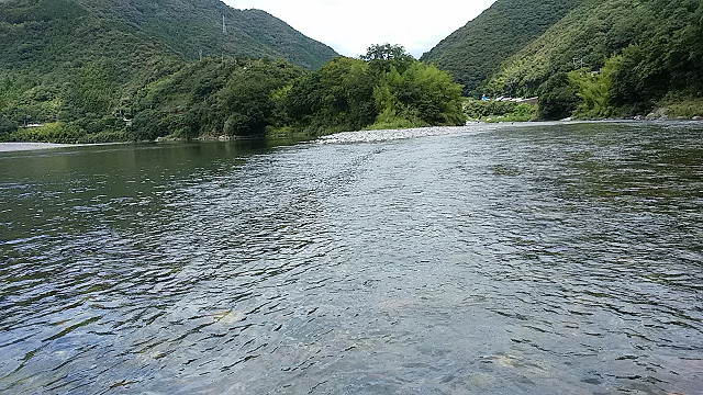 resize0035.jpg