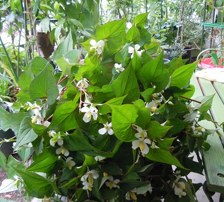 DSCN5632.JPG