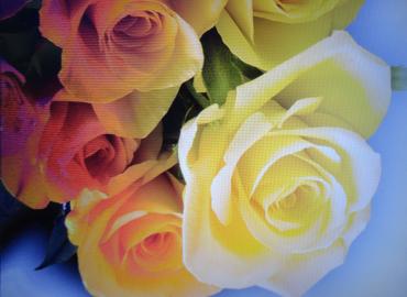 DSC05012_convert_20170618150720.jpg