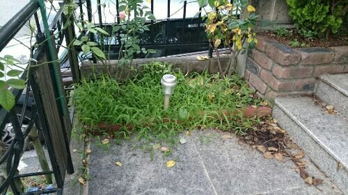 rblog-20170709172338-01.jpg