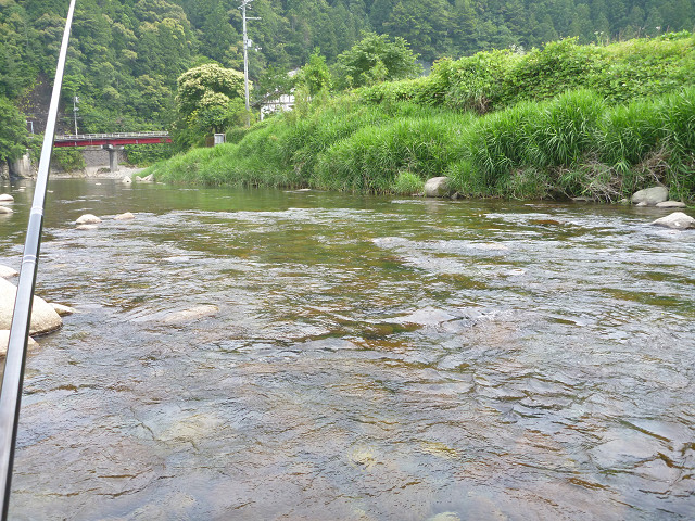 resize0016.jpg