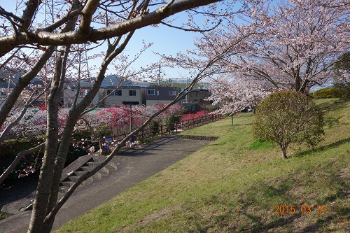 DSC02095.JPG