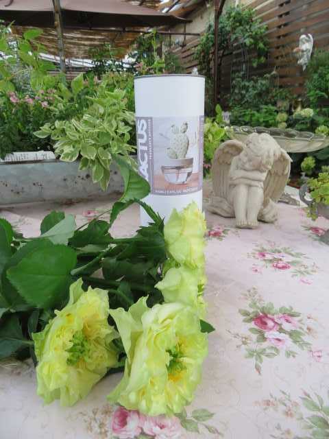 今週も終わりなきdiy バラの消毒 今月のサブスクとアンティークアジサイ ばぁばの薔薇の花園 楽天ブログ 今週も終わりなきdiy バラの消毒 今月のサブスクとアンティークアジサイ ばぁばの薔薇の花園 楽天ブログ