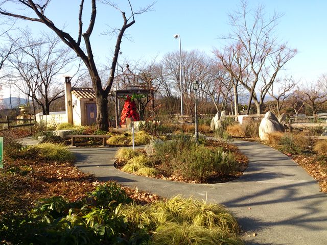 2014-01-03 09.30.34.jpg