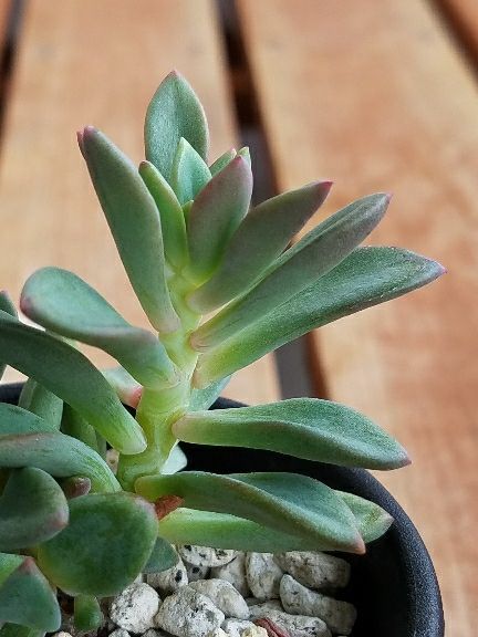 rblog-20170807142153-01.jpg