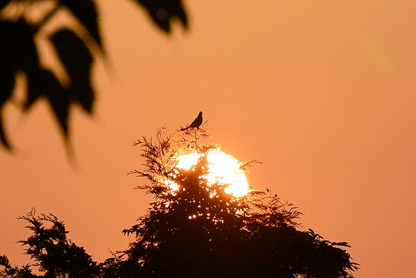 パルテール窓から