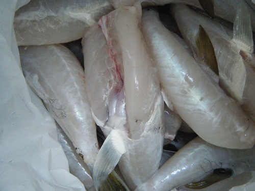 DSCF1788.JPG