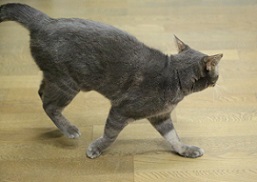 5DA_3391-29.jpg