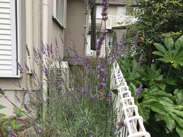 rblog-20180624180538-03.jpg