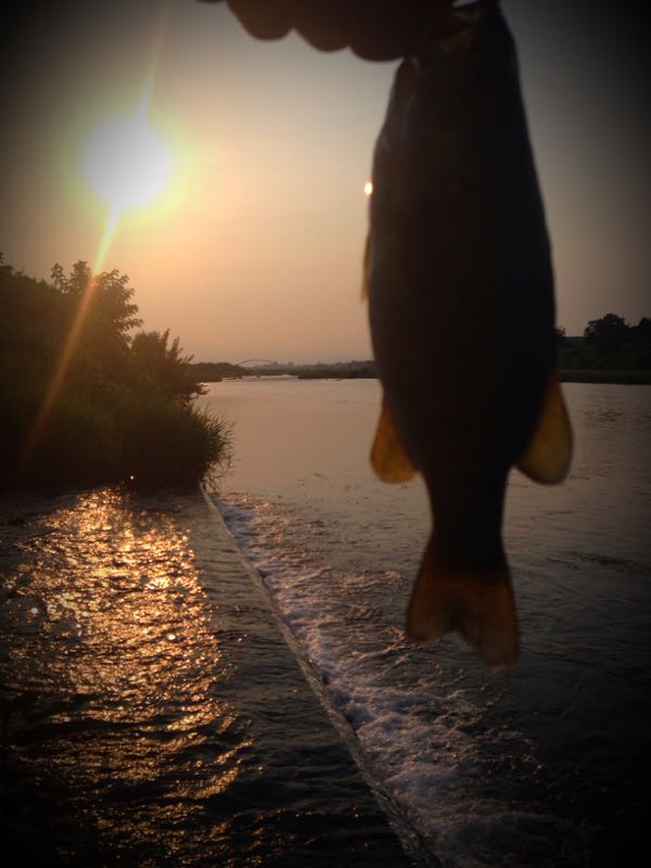 rblog-20150712200917-01.jpg