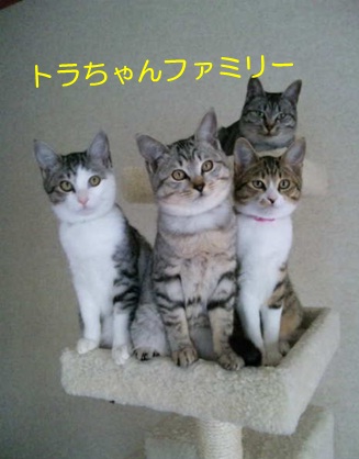 20120803_4.jpg