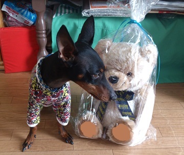 スマイリーベアとマース君