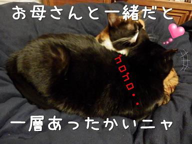 たぁこと一緒４.JPG