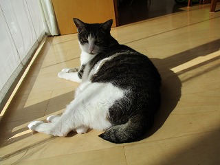 IMG_9232ss.jpg
