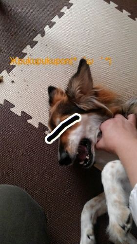 rblog-20171106120229-02.jpg