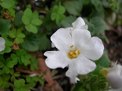 12032409.DSCN0016.jpg