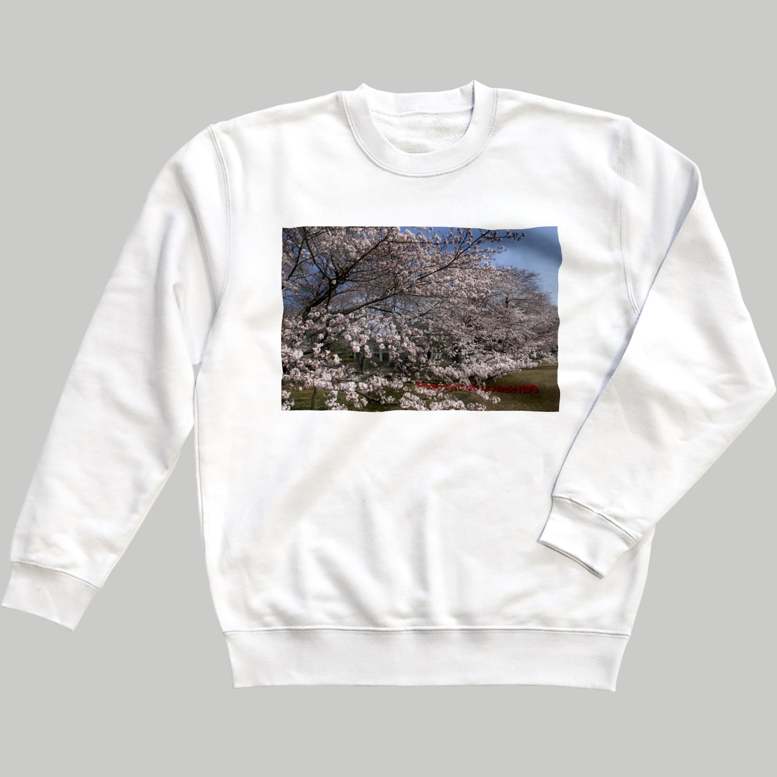 光景　sight0070　桜　2015_015　サクラ スウェット
