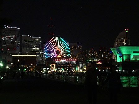 DSC01103.jpg