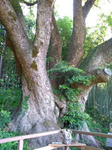 rblog-20180603144259-02.jpg