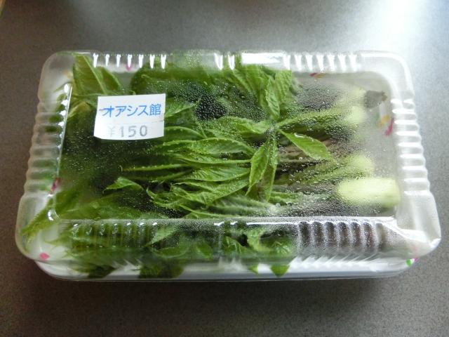 CIMG0435.jpg