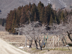 会津254.jpg
