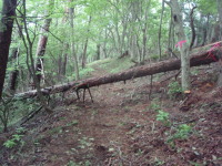 20120624_85.jpg