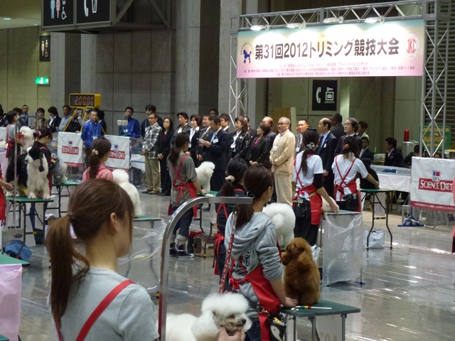 P1000243 - コピー.JPG