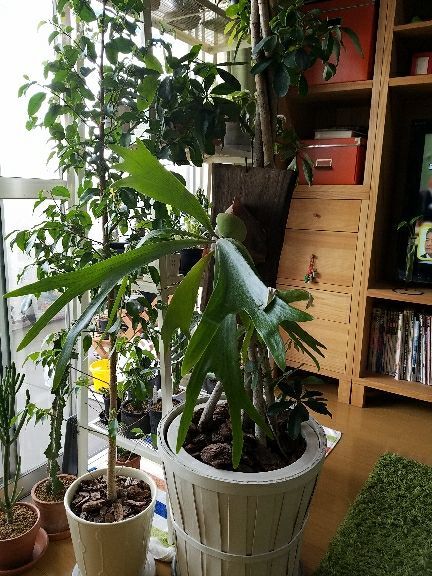 rblog-20180408121938-09.jpg