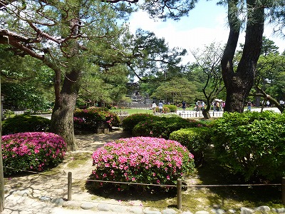 P1000111.jpg