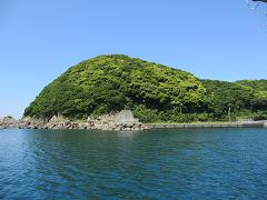IMG_2214.jpg