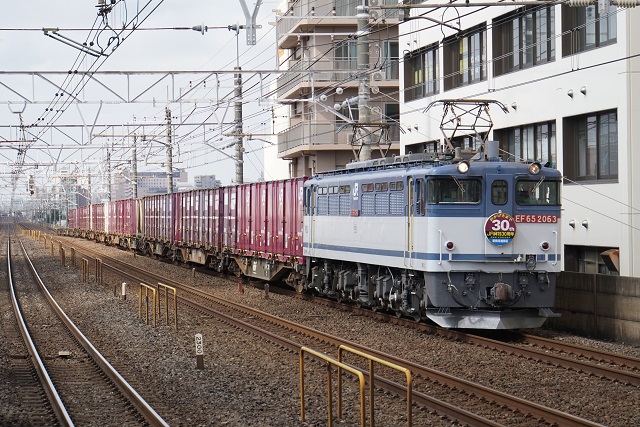 JR30周年 EF65 2063牽引 鹿嶋貨物 & EF81 80牽引 カシオペア回送2