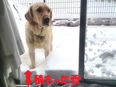 雪１.jpg